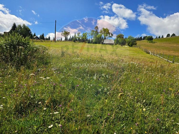 Teren de vis în Fundata 1934mp sau 3868mp, la înălțimea sufletului tău - 9