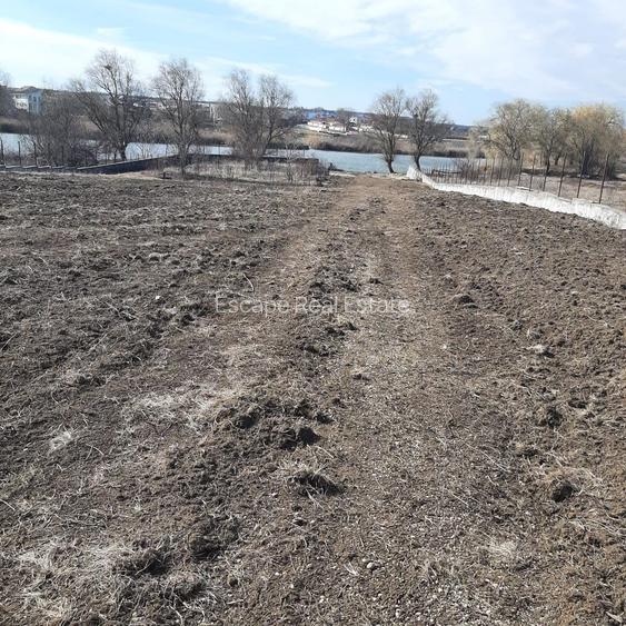 Teren la Lac intravilan construcții Corbeanca Ilfov - 4