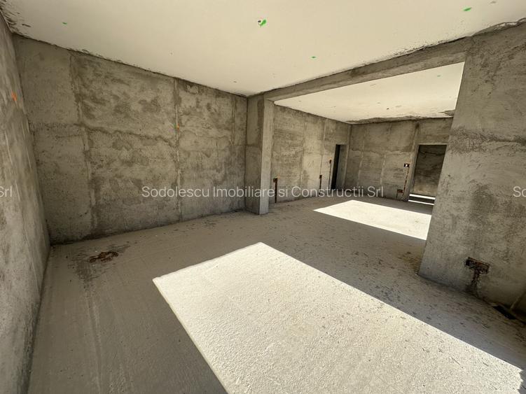 Proiect deosebit zona Medicina / Isho - 12