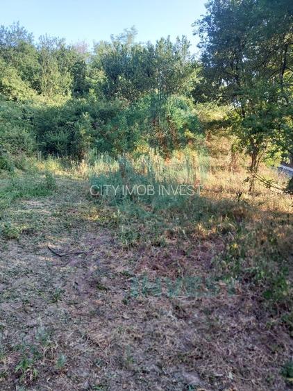 TEREN 1690 MP - ORAS STREHAIA - 7