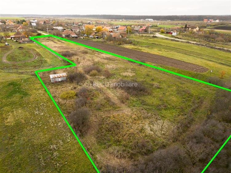 RECO, Teren intravilan, loc de casa in Pausa, Nojorid - 9