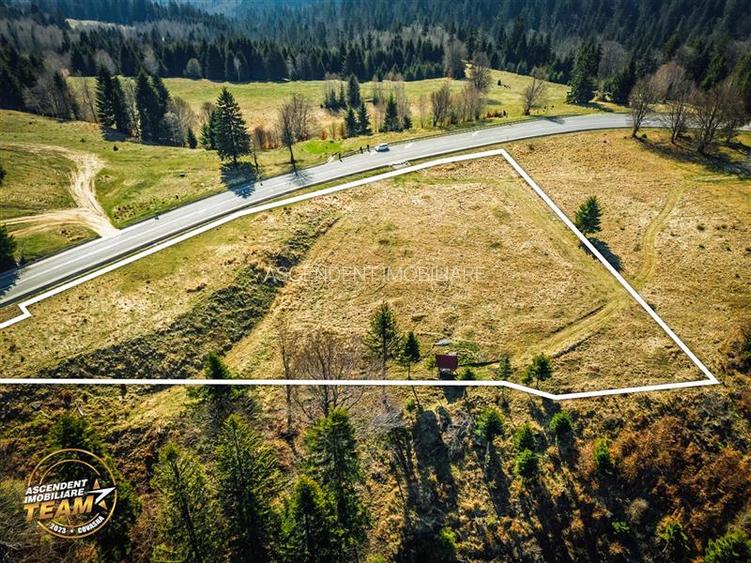 In notabil areal, teren extravilan pe 5.800 mp, Ojdula, Covasna - 19