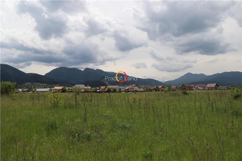 teren  intravilan13100 mp pentru dezvoltare imobiliara - 10