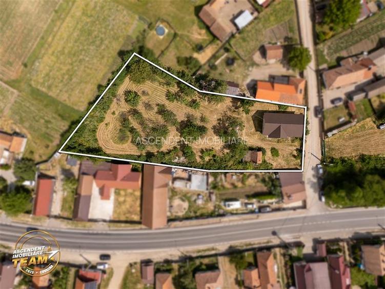 FILM! Casa personalizabila +2.700mp teren,pomi fructiferi,langa Sfantu Gheorghe: - 21