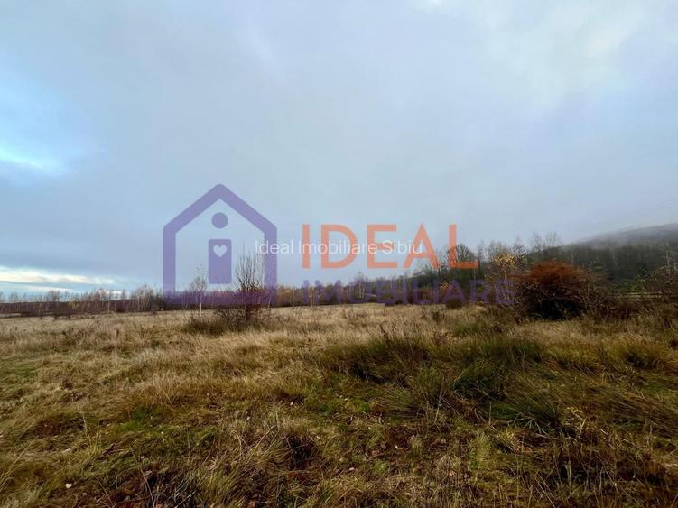 Teren extravilan 6.500 mp – două căi de acces, Cârțișoara - 3