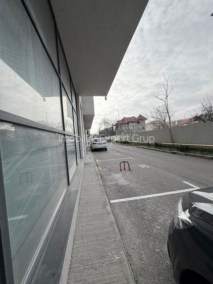 Zona Theodor Pallady sp 244 mp open space + 10 locuri parcare - 8