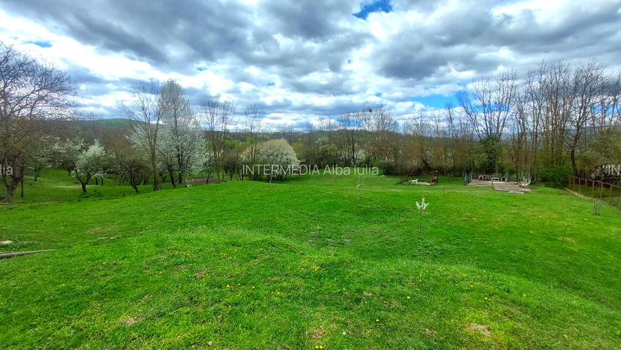 Gospodarie, casa cu 5 camere si 8272 mp teren, in Oarda - 2