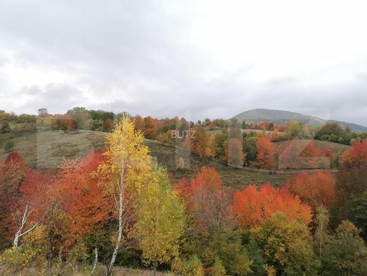 Casa ecologica tip sandwich, eficienta energetic, teren 2.673 mp, zona Baisoara - 17