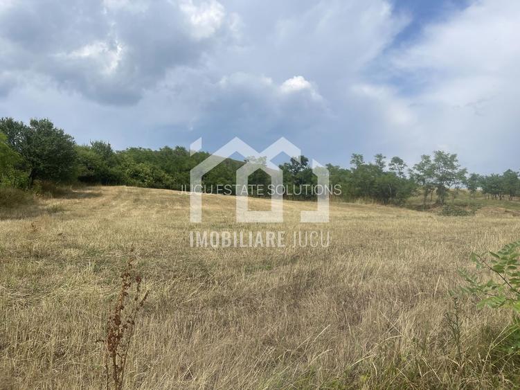 Teren Intravilan Constructrii 2258mp - Gadalin - 4