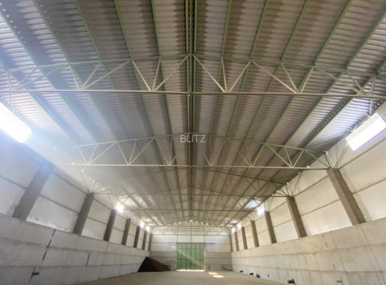 Proprietate agroindustriala, hala 1590 mp, teren 28000 mp, panouri 398 kWp - 9