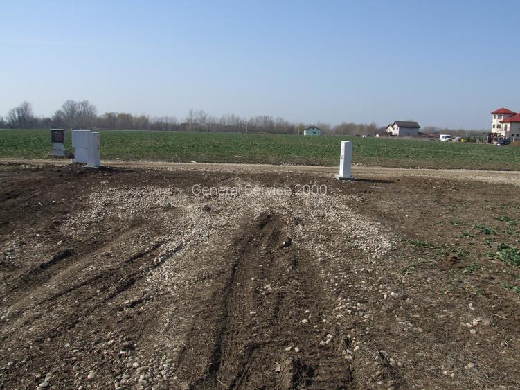 Domnesti-Ciocarliei, Afinului - 6