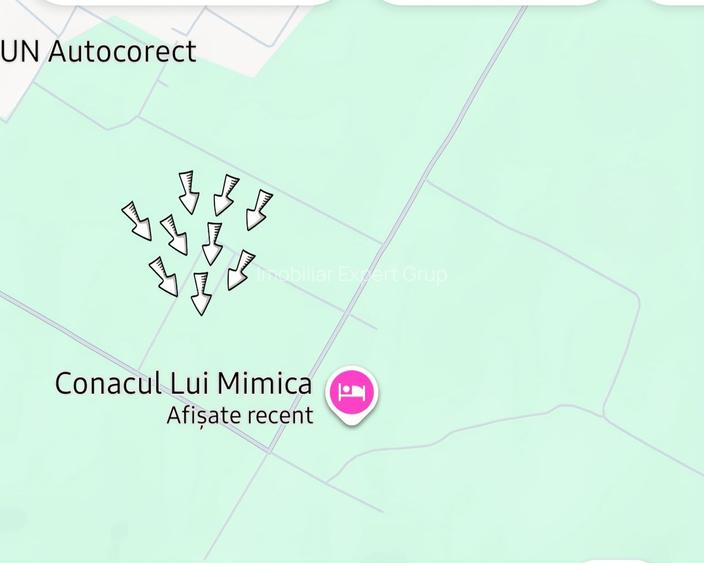 Teren Cornetu langa padure - 3