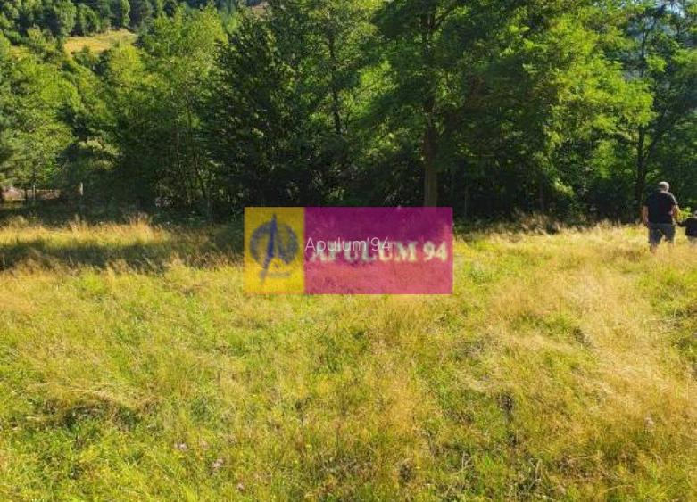 Teren Județul Vâlcea - Brezoi, Valea lui Stan - 10