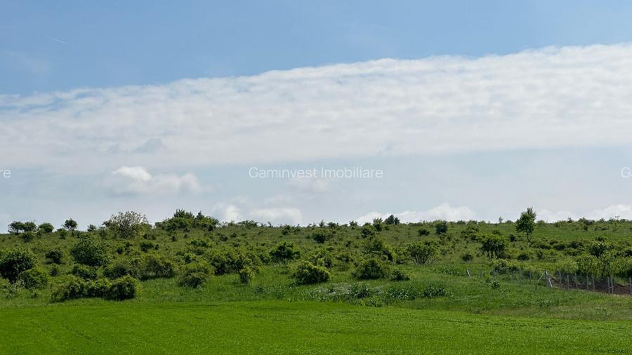 Teren Extravilan de Vanzare, zona Episcopia, Oradea, judetul Bihor - 2