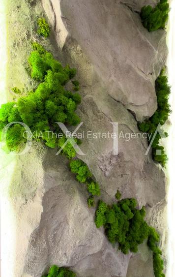 OX694 O casa construita pentru un stil de viata actual - 23