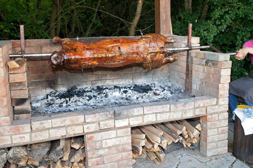 Pensiune, teren 4.460 mp, Hidișelul de Jos, Bihor. 685.000 Euro (neg). - 37