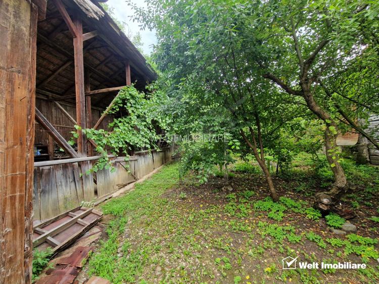 O noua viata la tara, la doar 28 km de oras! - 22