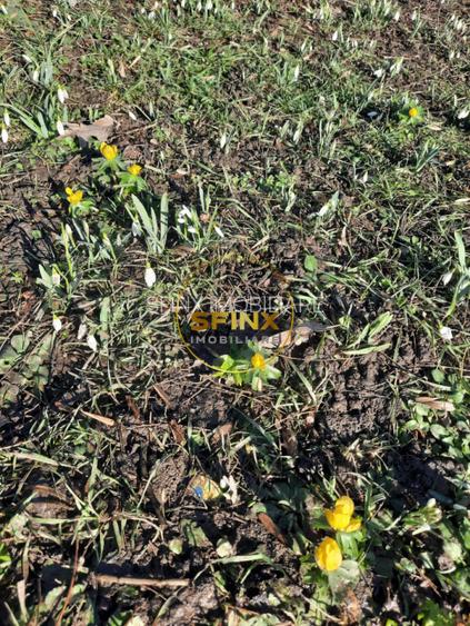 Parc Cismigiu, vanzare apartament 4 camere in vila interbelica - 19