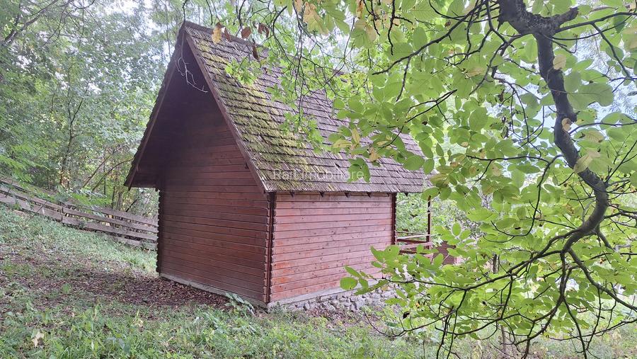 VANZARE ANSAMBLU CASUTE BRADULET ARGES - 9