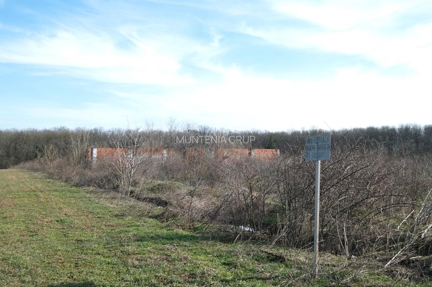 GANEASA, langa lac, padure si vile, 1075 mp. teren construibil - 3