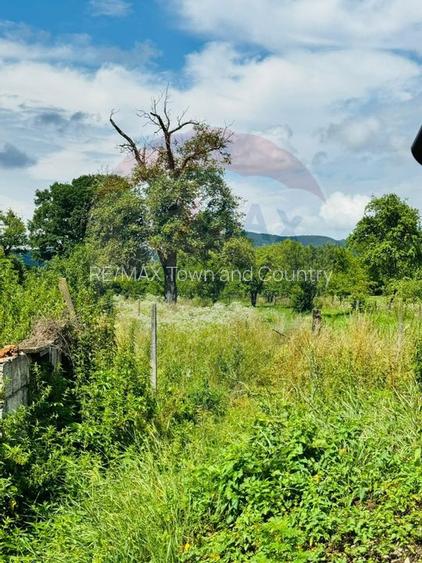 Casă / Vilă cu 3 camere de vânzare - 10