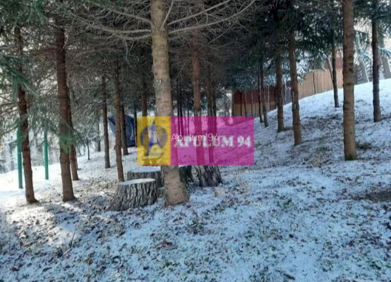 Casă de vânzare în Provița de Jos - 38