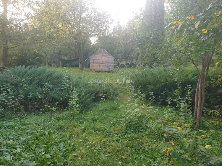 Casa spatioasa in Cristian cu teren de 886 mp - 3