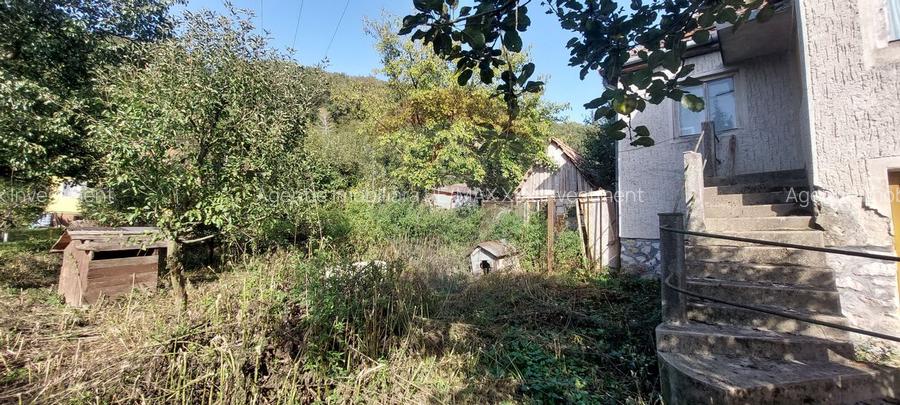 Casă  individuala cu teren generos - 11