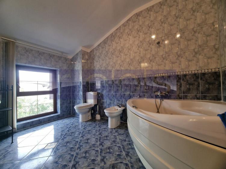 DE INCHIRIAT VILA  D+P+1+2 + CURTE | ZONA PARCUL CAROL - 24