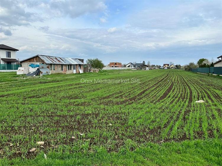 TEREN INTRAVILAN STREJNICU - 3