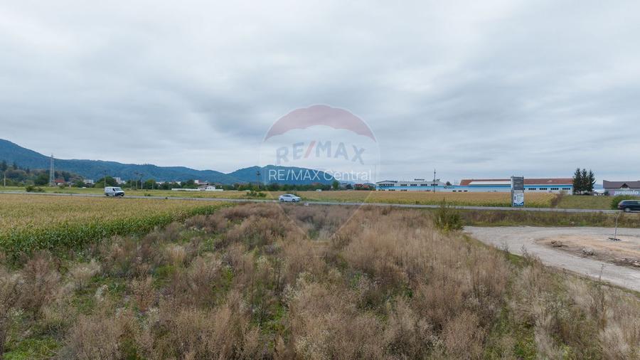 Un lot de casa intrare Sacele 790 mp - 6