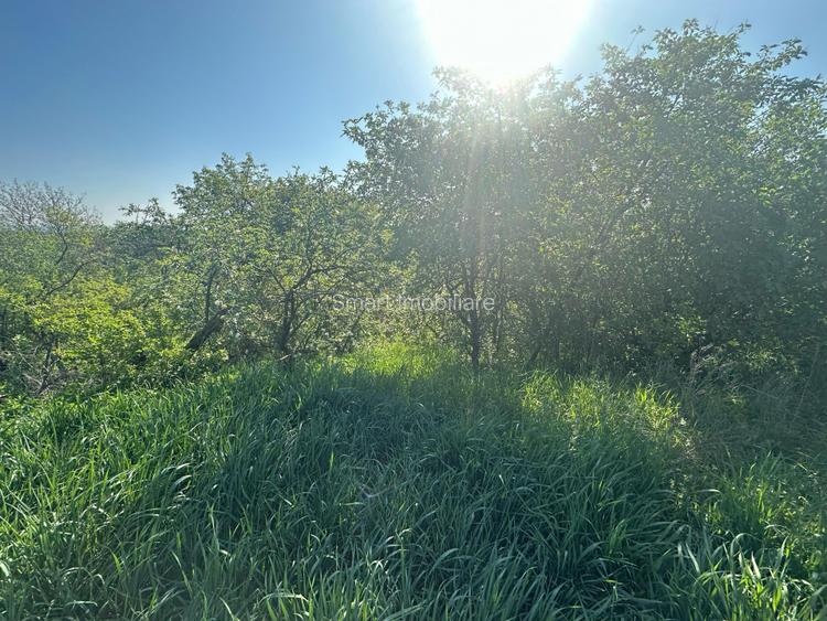 Casa Individuala Ozun Covasna teren 3200 mp - 13