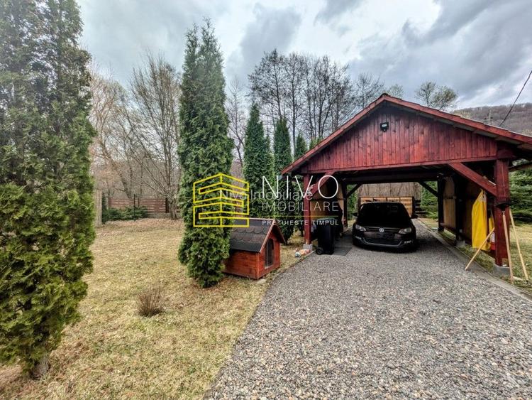 Casă singur în curte – Mureș – Câmpu Cetății - 22