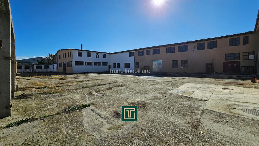 Proprietate multifunctionala - teren generos, cladire si hala in Lugoj - 6