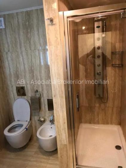 Decebal-Metrou P.ta Muncii,apartament 3 camere de inchiriat stradal - 14