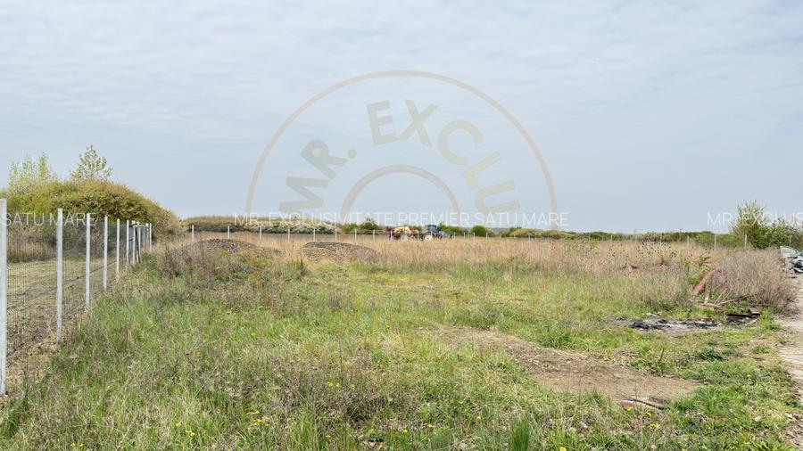 Teren Intravilan 1300 mp / Extravilan 3.700 mp/ DJ 196B Carei (DN 1F) – Foieni - 4