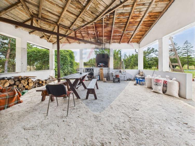 Proprietate speciala Dragomiresti Deal -Teren 15000 mp - 31