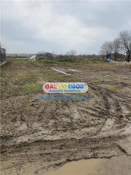 Vanzare teren intravilan Domnesti Teghes - 6