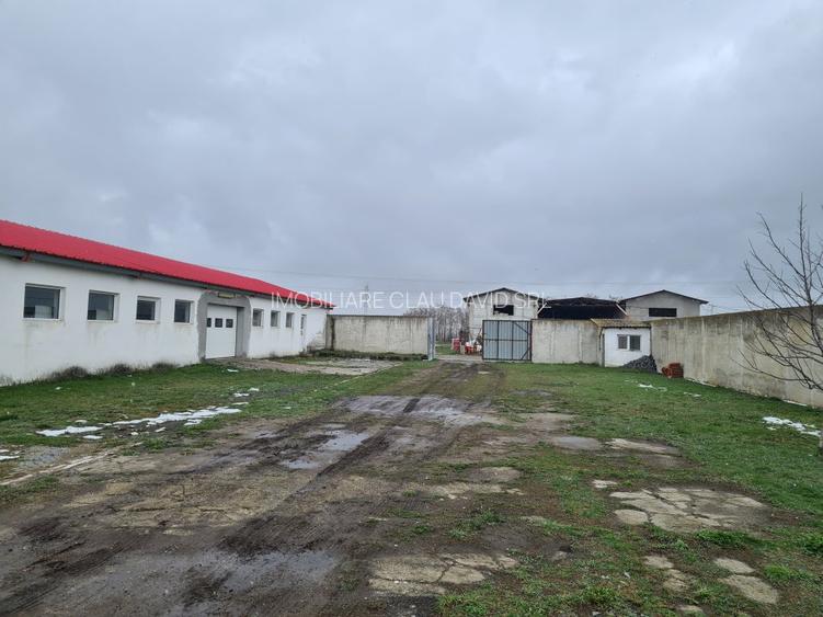 Oportunitate Unica: Teren Intravilan cu Hală de productie și Casă Modernă - 17