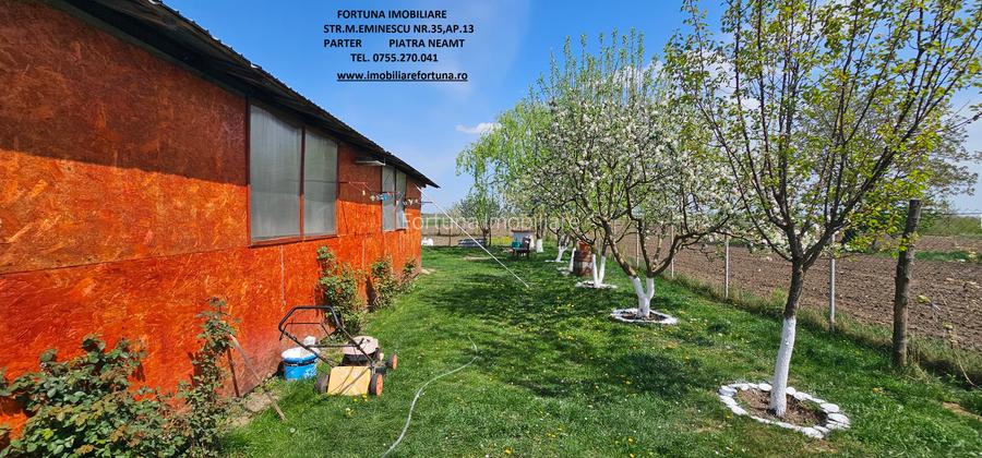 Proprietate Slobozia-Roznov, casa mansardata, teren si livada - 18