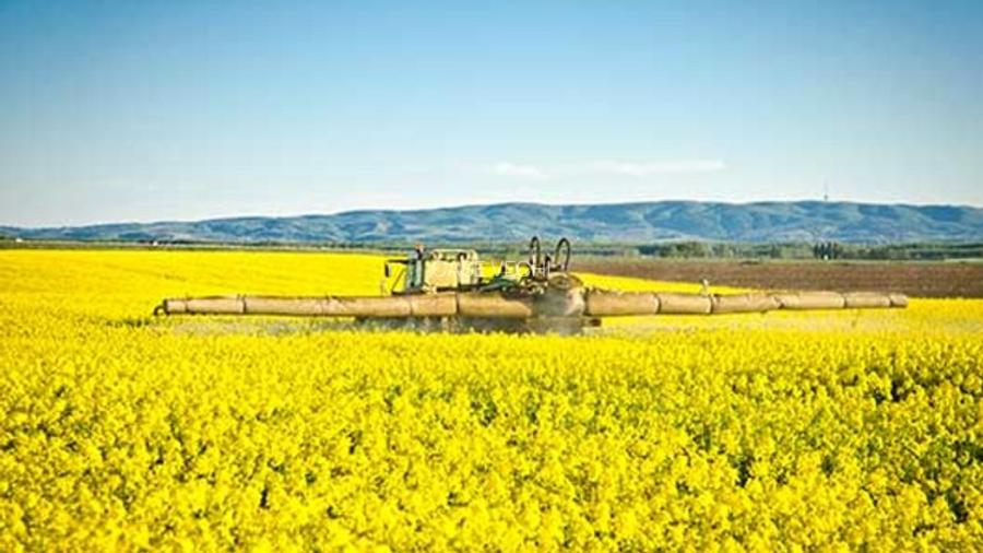 PORTOFOLIU AGRICOL PREMIUM 3.000 HA SUDUL ROMÂNIEI OPORTUNITATE INVESTIȚIONALĂ - 6