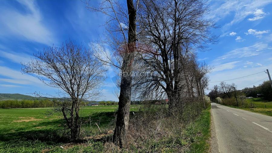 Teren 10,000mp Nemtisor / DJ 155C - 12