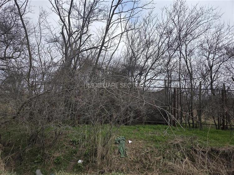 Teren intravilan cu gaze la strada Bujoreanca Dambovita S=9658mp D=49mp - 10
