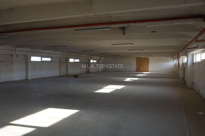 Hala Industriala Gradiste De Vanzare - 13