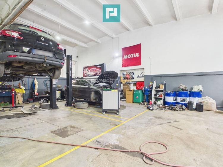 HALĂ INDUSTRIALĂ + SERVICE AUTO COMPLET ECHIPAT - 19