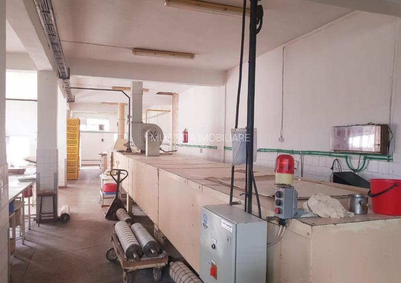 Fabrica de biscuiti Braila - 3