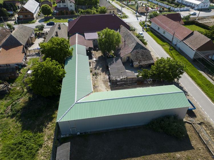 Clădire cu 5 camere cu teren și hală în Cenad - 23