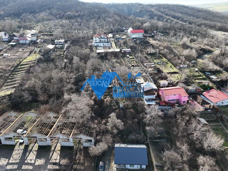 Teren intravilan BIDIDIA, zona deosebita, 550MP - 9