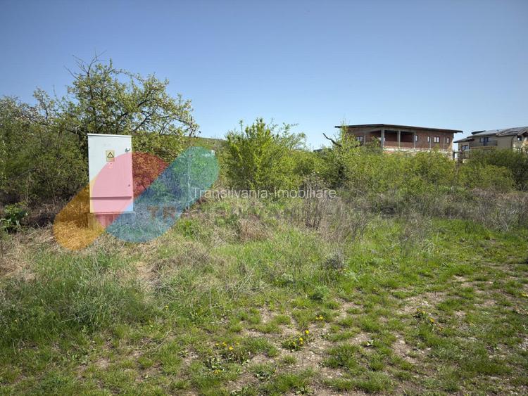 Teren intravilan 1000 mp, zona Giuseppe Verdi - 4