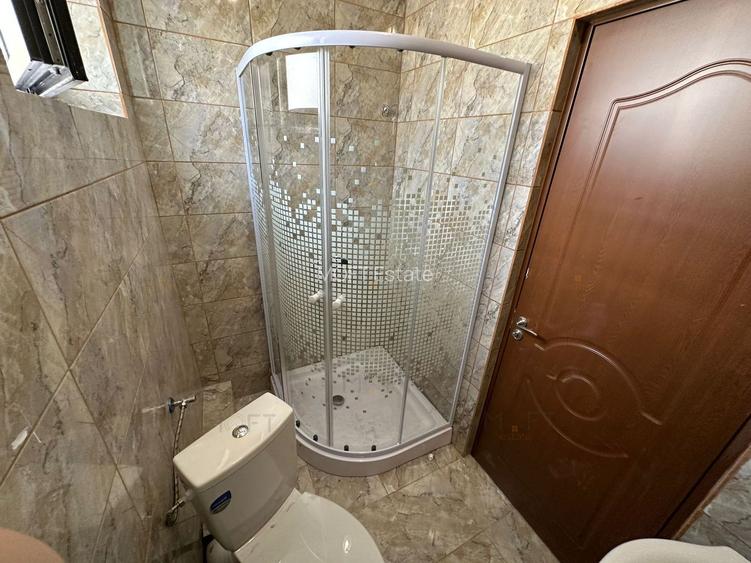 Vila P+1 de inchiriat | Sector 3 – zona Mall Vitan / Piata Alba Iulia - 24